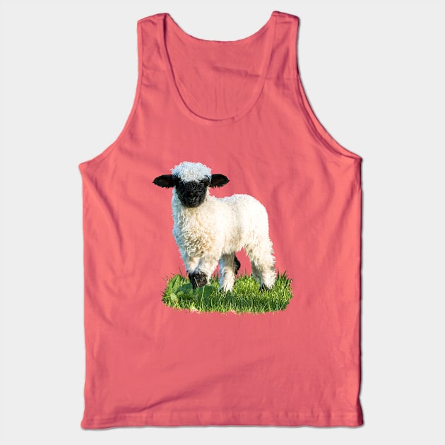 Valais Blacknose Lamb in a Meadow Tank Top by Jane Stanley Photography